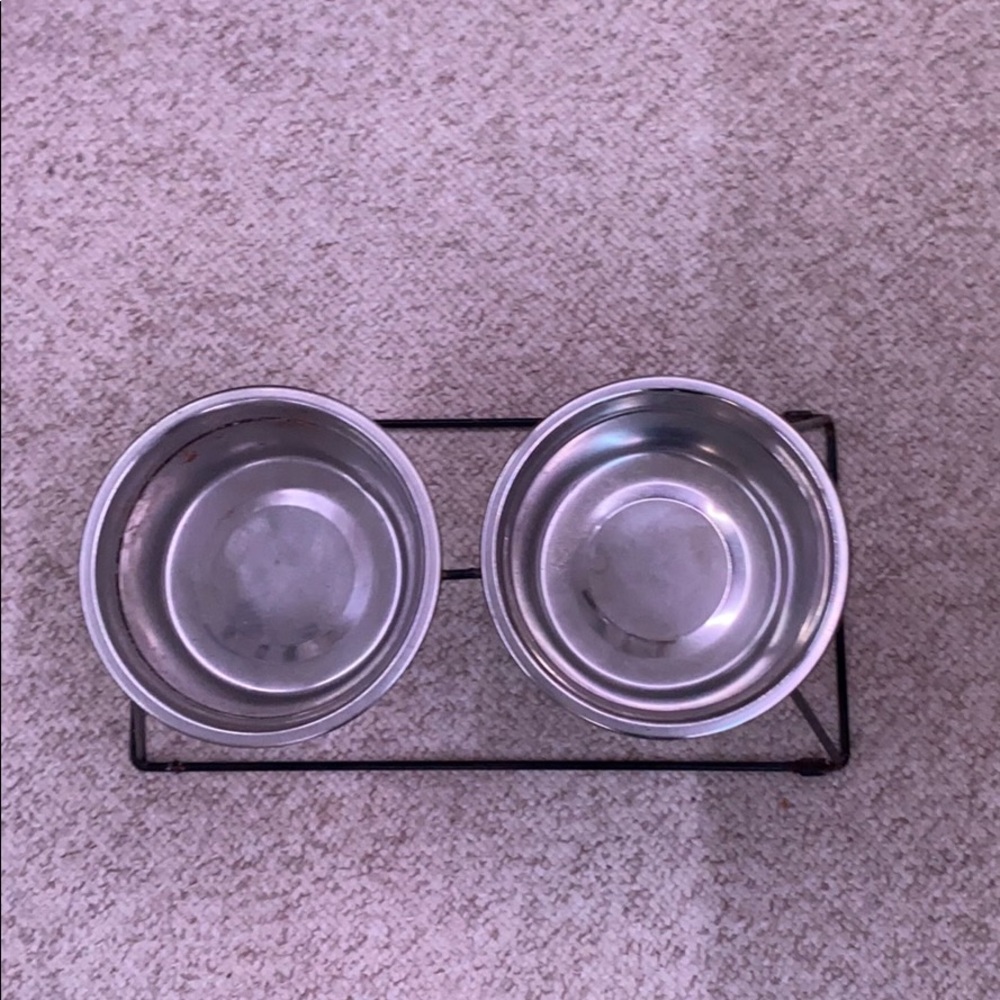 Dog water bowl.
